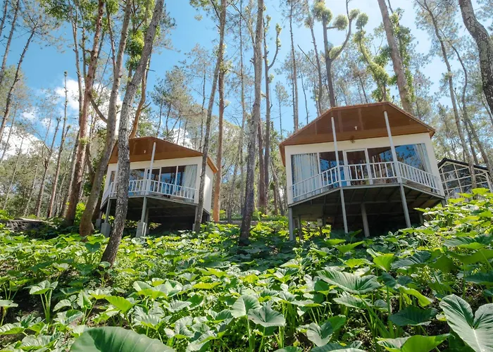 La Pino Mount Batur And Hot Spring Ferienpark