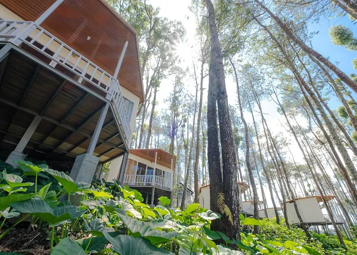 La Pino Mount Batur And Hot Spring 3* Bangli