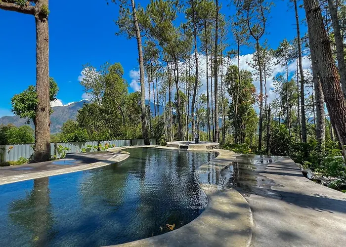 La Pino Mount Batur And Hot Spring Ferienpark