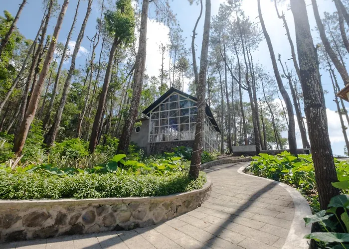 La Pino Mount Batur And Hot Spring 3* Bangli