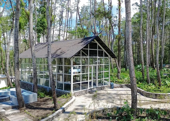 La Pino Mount Batur And Hot Spring 3* Bangli